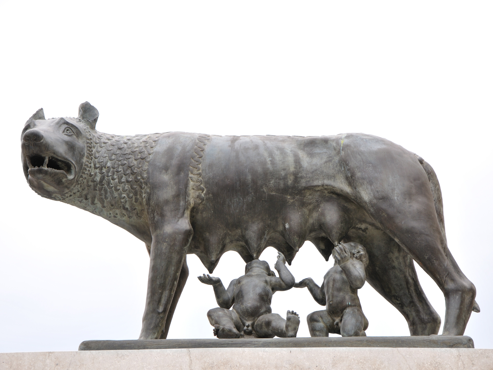 The Capitoline wolf