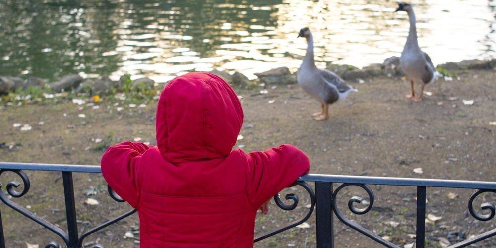 Cine dei Piccoli