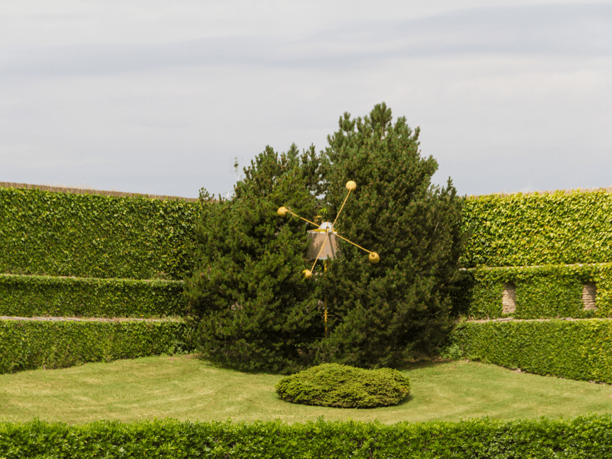 árvore particular no jardim do Vaticano