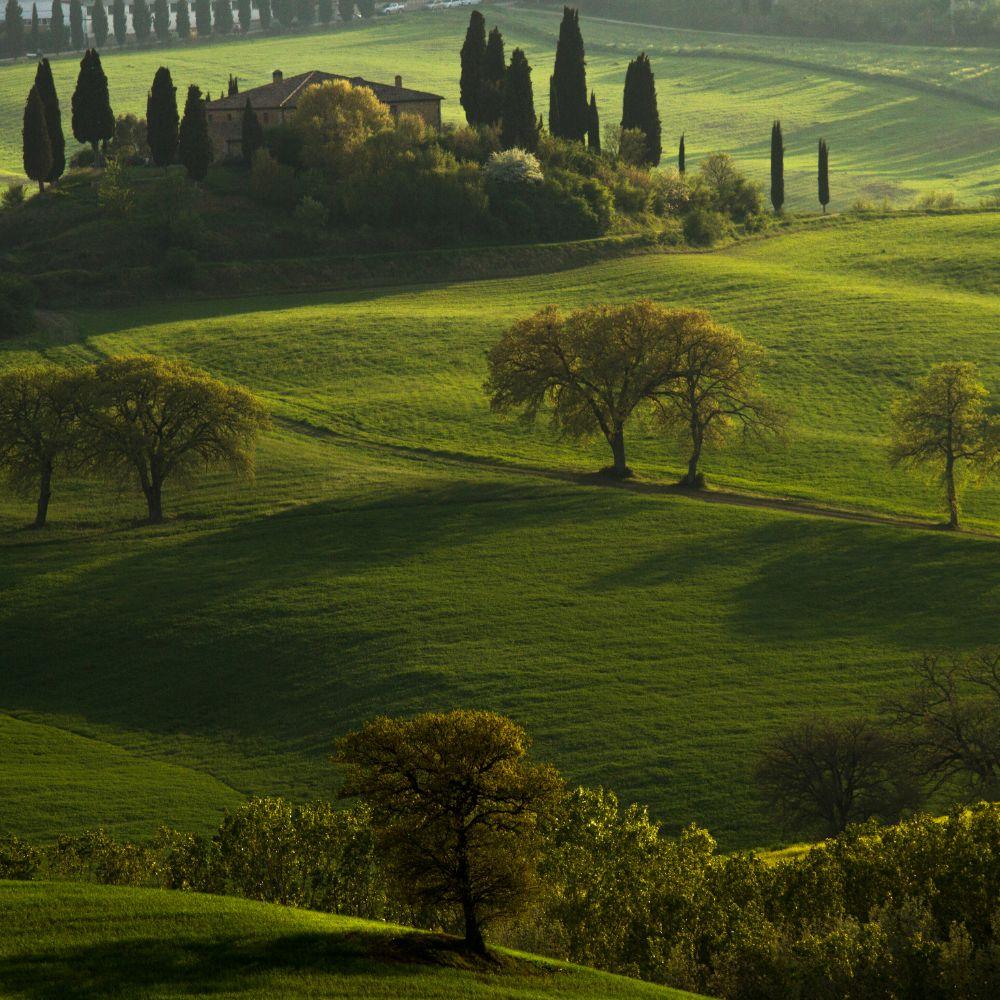Val d'Orcia in Tuscany with Walks Inside Rome