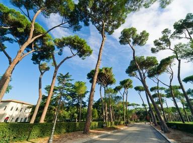 cinema_dei_piccoli_villa_borghese_roma-tSa-700X520 Cinema dei Piccoli