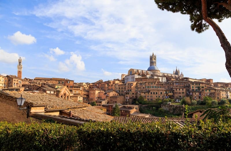 Siena and S.Gimignano Tour