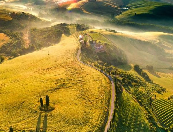 Tour de vinos y campos de la Toscana