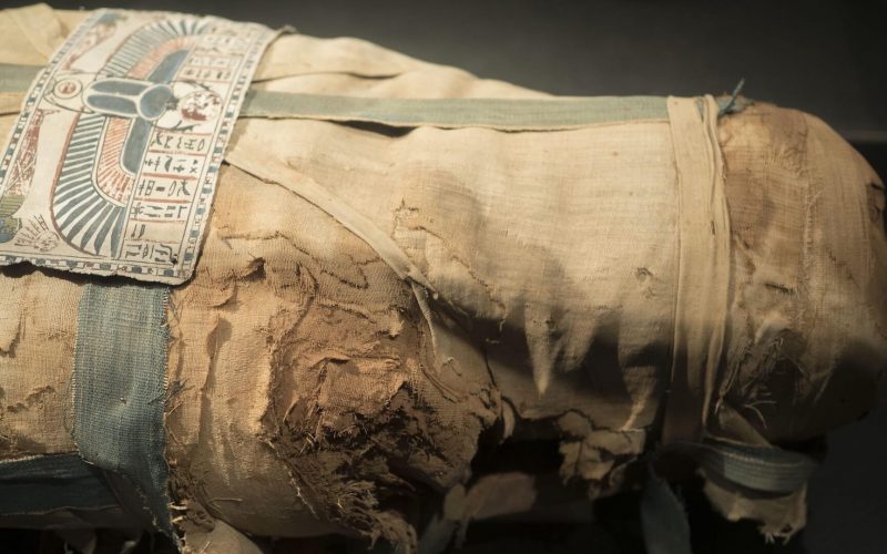 Vatican Mummy Cover