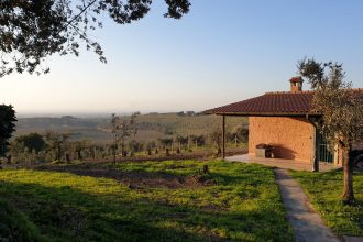 vinho e país nas colinas romanas