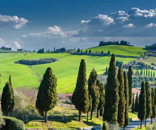 Visite des vins et fromages de Toscane à Pienza | Privé