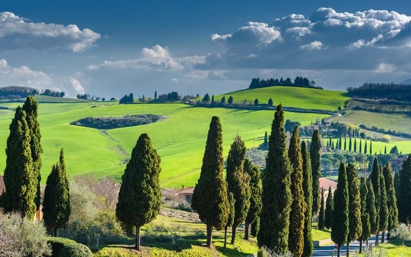 Tuscany Wine & Cheese Tour in Pienza | Private