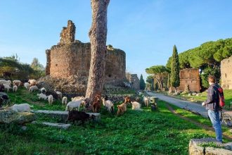 Tour in bici sulla Via Appia