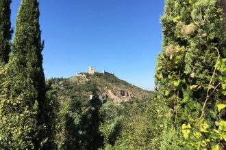 Assisi e le dolci colline umbre