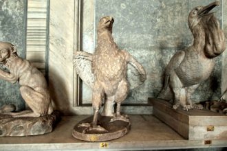 Tour del Vaticano para niños y Castel Sant'Angelo | Privado