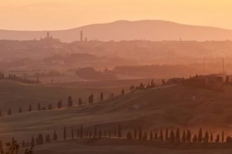 Tour de vinos y quesos de la Toscana en Pienza | Privado