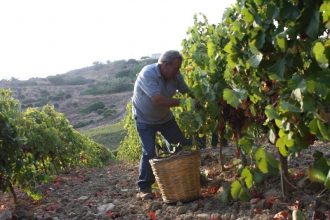 Visite personnalisée de la Sicile