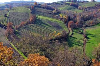 Tour personalizado por Bolonha e Emilia Romagna